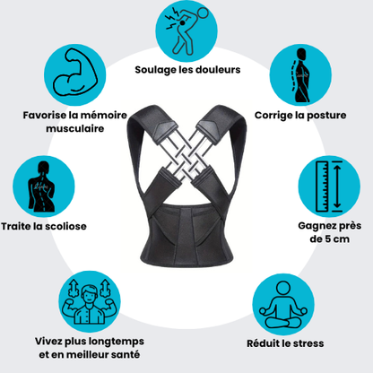 ERGO-BACK - Correcteur & Protocole Postural
